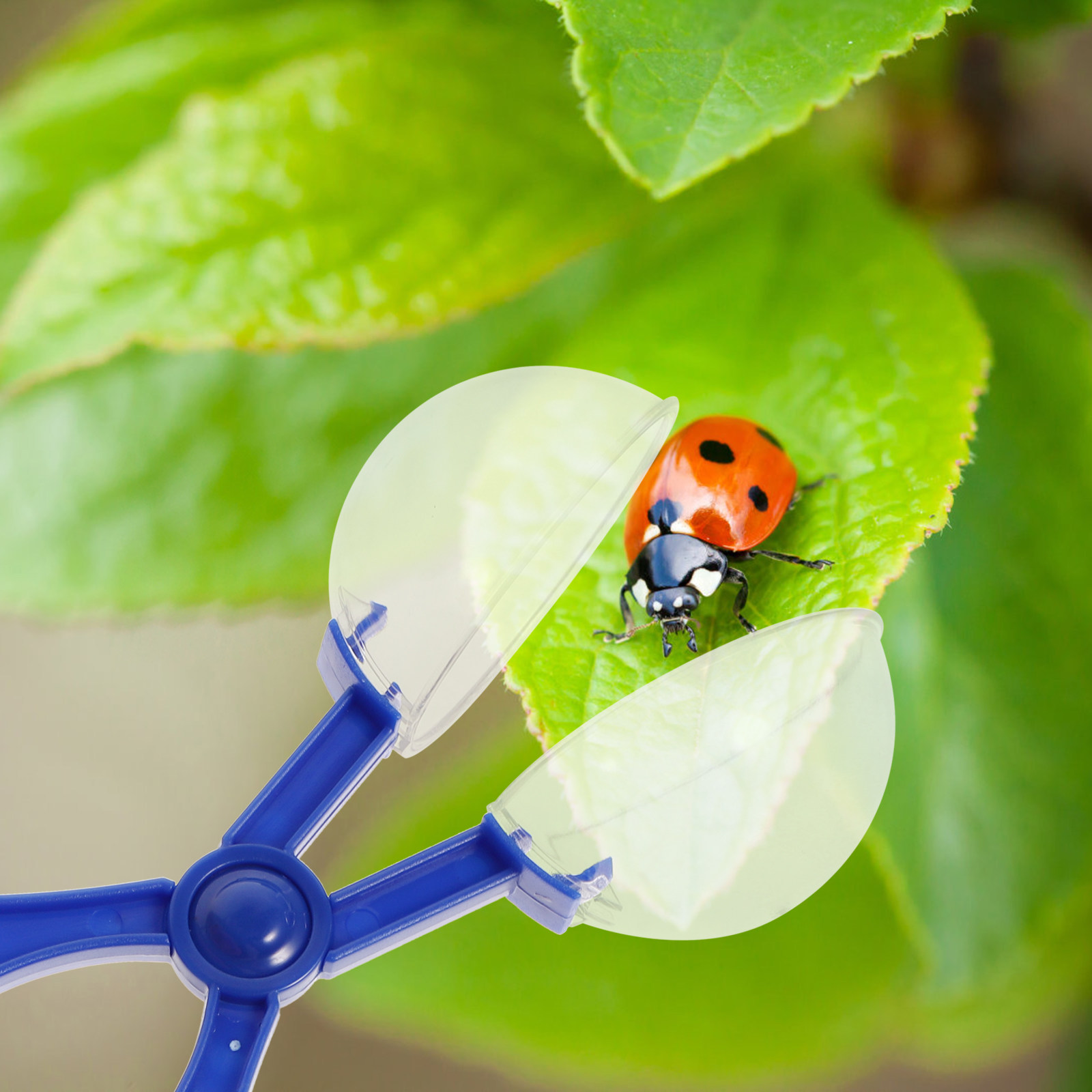8Pcs Insect Catcher Scissors K - Kids Outdoor Fun review and price